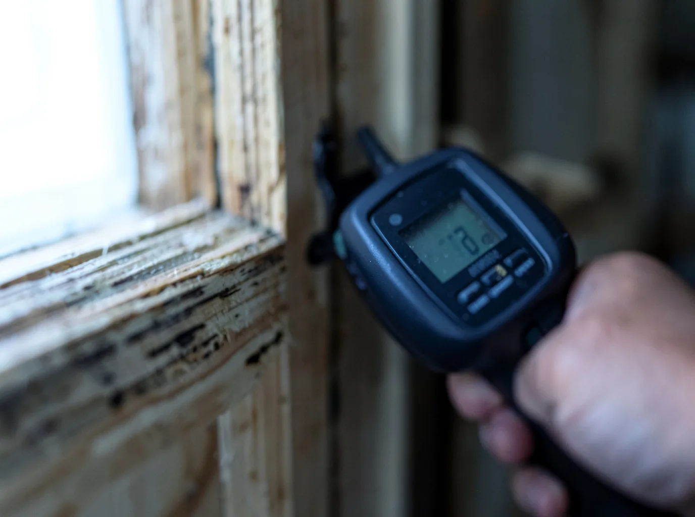 Moisture Inspection And Documentation in Salyersville, KY